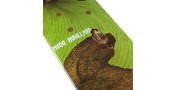 BOARD MAGENTA HUGO MAILLARD CAMEL ZOO - 8.125